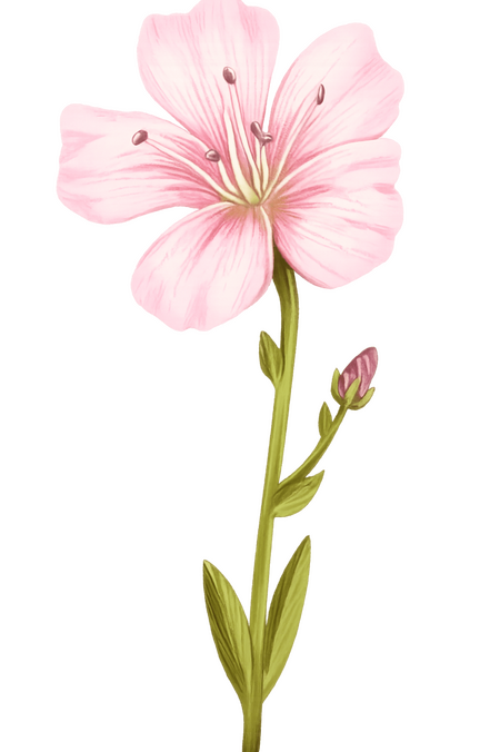 flower-logo